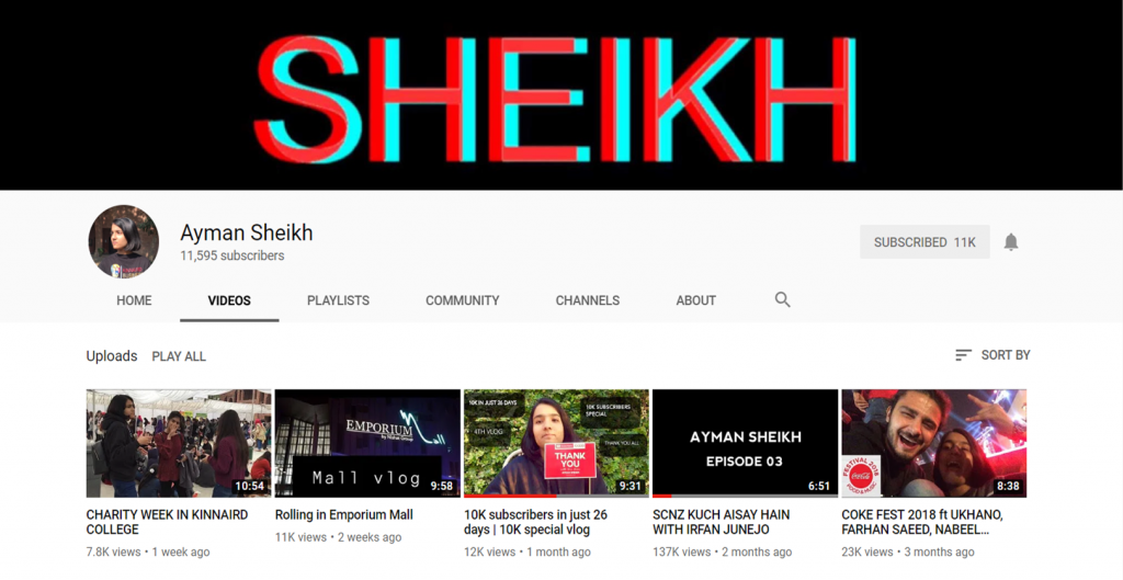 Most Popular Pakistani Female Vloggers on YouTube Bradri.